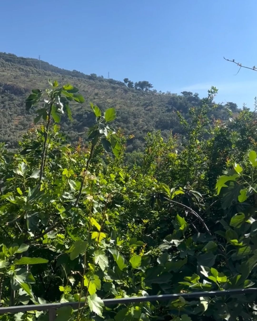 Doğa Restaurant
